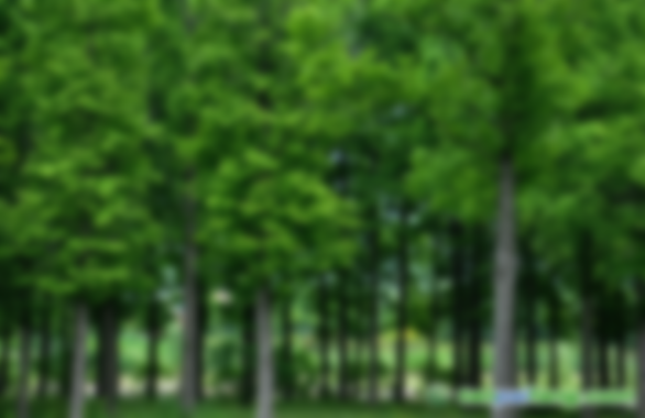 如何開(kāi)發(fā)林業(yè)碳匯項(xiàng)目需要哪些文件資料？