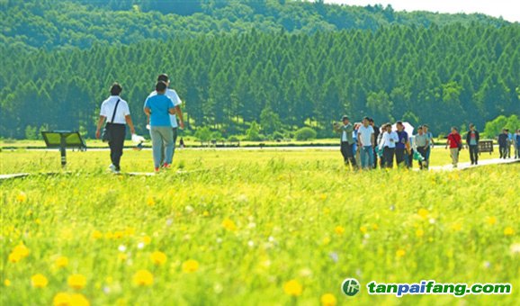 塞罕壩機械林場碳排放權交易總額可達3000多萬元