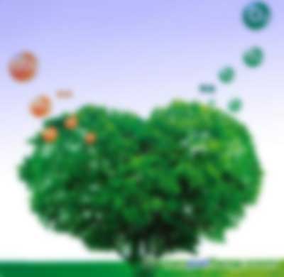 北京市園林綠化局關(guān)于印發(fā)《北京市園林綠化應(yīng)對氣候變化“十三五”行動(dòng)計(jì)劃》的通知【京綠辦發(fā)〔2017〕9號(hào)】全文