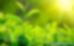 碳匯是什么意思？