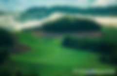 碳匯交易補(bǔ)貼多少錢一噸以及樹林怎么計算碳匯量，哪個交易所價格最高