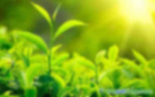 陳亞芹、別智等:國內(nèi)外綠色金融產(chǎn)品與金融政策綜述