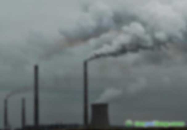 2019年《中國(guó)碳價(jià)調(diào)查報(bào)告》全文