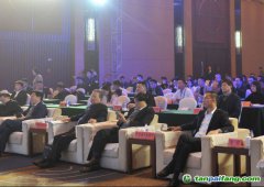 2019中國綠色城市指數(shù)TOP50發(fā)布，哪些城市是綠色標(biāo)桿？