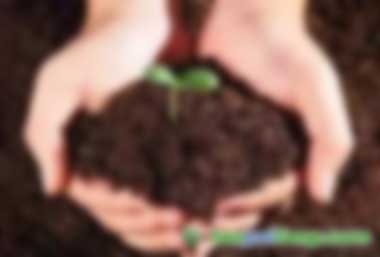 文庫網(wǎng)站資料（PPT、DOC、PDF等各行業(yè)2000萬個文檔報告文件）打包出售（硬盤版），如何購買的正規(guī)渠道