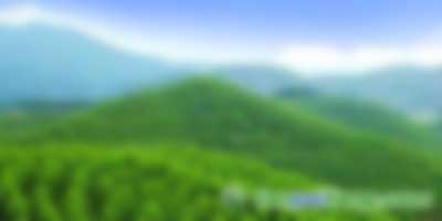 我國(guó)發(fā)展低碳經(jīng)濟(jì)的機(jī)遇、挑戰(zhàn)及路徑