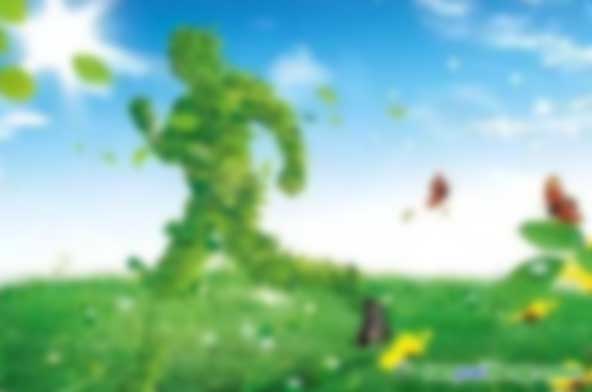 申請綠色工廠最多能給到多少錢的資金補(bǔ)貼？