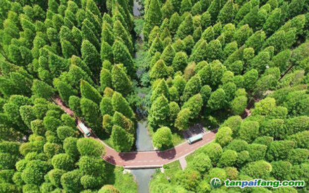 要求按核證碳標(biāo)準(zhǔn)（VCS）和氣候、社區(qū)和生物多樣性（CCB）標(biāo)準(zhǔn)進(jìn)行碳匯項(xiàng)目開發(fā)