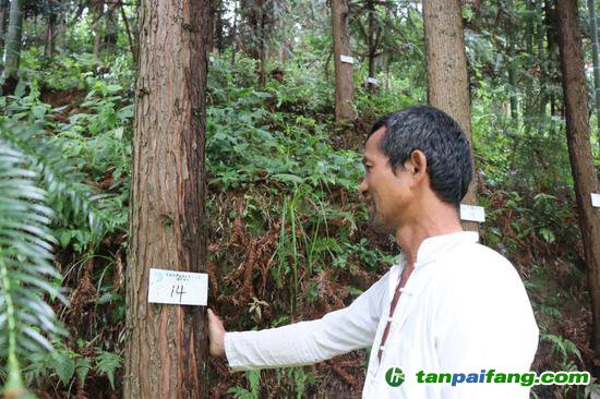 從江縣高增鄉(xiāng)岜扒村貧困戶廖老格開心地為自有林掛牌。