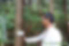 賣(mài)空氣也賺錢(qián)！貴州單株碳匯實(shí)現(xiàn)生態(tài)和扶貧雙贏