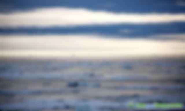 霍金預(yù)言要成真？北極38度高溫，溫室氣體釋放，地球回300萬年前