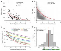 長得快的樹木活不長，或影響碳儲量