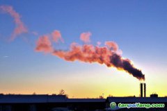 人社部碳交易師和碳排放管理師哪個好？證書有用嗎？再哪里報考的官方報名入口來了