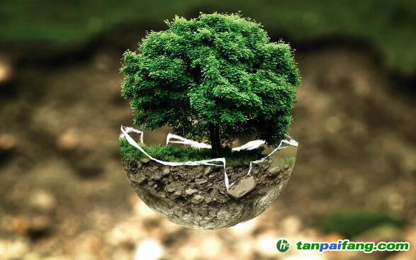 國家人社部官網(wǎng)發(fā)布“碳匯計(jì)量評估師”等新職業(yè)，如何報名參加課程培訓(xùn)獲得證書有哪些好處和作用？