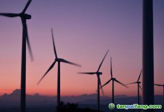 綠證價格如何？它是怎樣定價的？