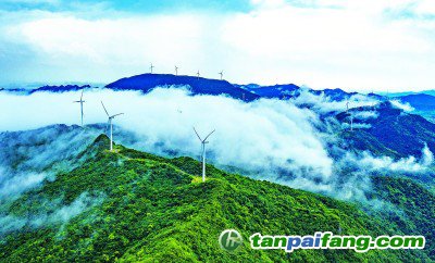 科普添動(dòng)力，實(shí)現(xiàn)“雙碳”目標(biāo)更可期