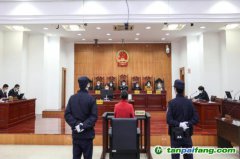 碳匯修復(fù)，解鎖生態(tài)司法綠色基因