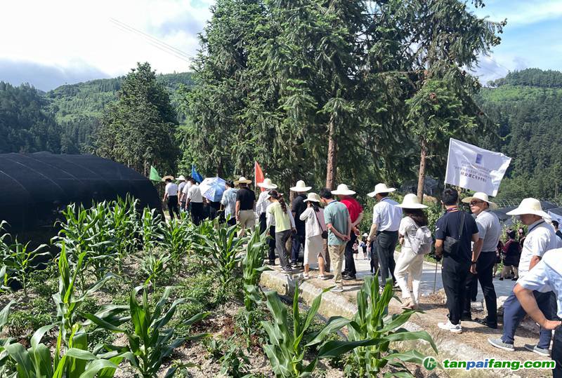 調(diào)研現(xiàn)場。郭鑫燚攝