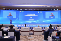 在廣東，碳配額抵質(zhì)押融資有了地方標準