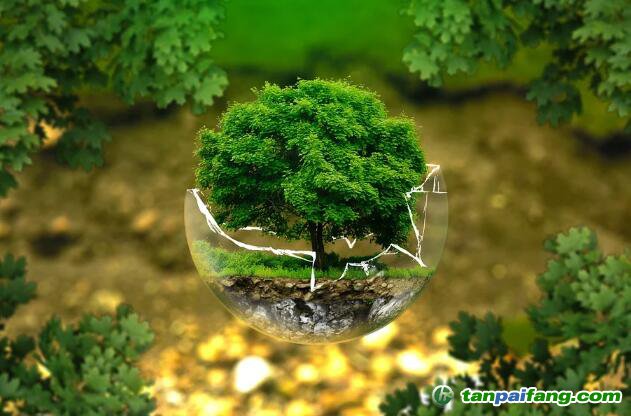 控排企業(yè)碳資產(chǎn)管理代運(yùn)營：配額籌劃、合規(guī)化改造等數(shù)據(jù)優(yōu)化、碳交易金融化思維