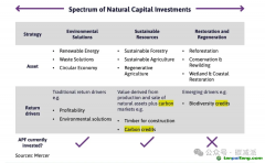 英國養(yǎng)老基金入局碳市場，投資自然類資產(chǎn)
