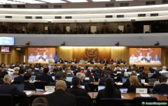 改變現(xiàn)代航運(yùn)業(yè)規(guī)則！IMO通過溫室氣體減排“凈零框架”！