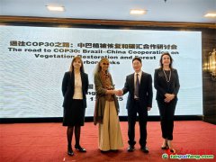 巴西環(huán)境部長：全球南方國家應(yīng)緊密團(tuán)結(jié) 共促COP30氣候承諾加速落地