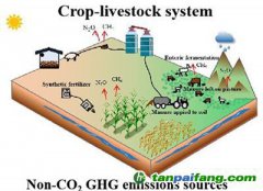 3000美元人均GDP：農(nóng)業(yè)碳減排與經(jīng)濟(jì)脫鉤節(jié)點(diǎn)