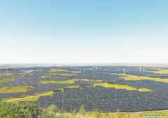 內(nèi)蒙古：逐綠而行 促進碳市場高質量發(fā)展